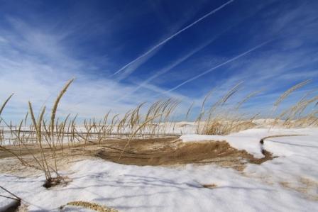 Dunes Grass Thaw
